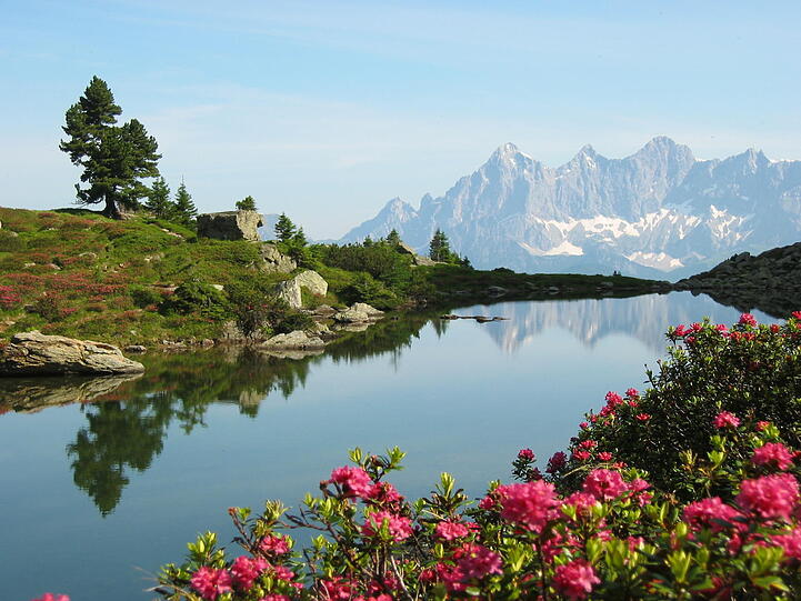 Der Dachstein spiegelt sich im Gasselsee.