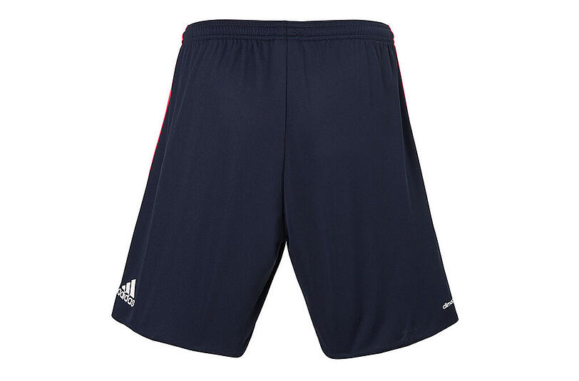 So sieht das Champions League Trikot für die Saison 15/16 aus. Die Bilder aus dem FCB-Onlineshop.