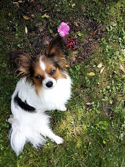 Charlie