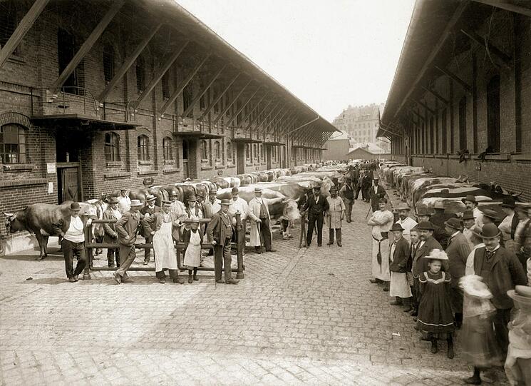 1905: Hier posen die Metzger: Ein Markttag im Münchner Schlacht- und Viehhof kurz nach der Jahrhundertwende.
