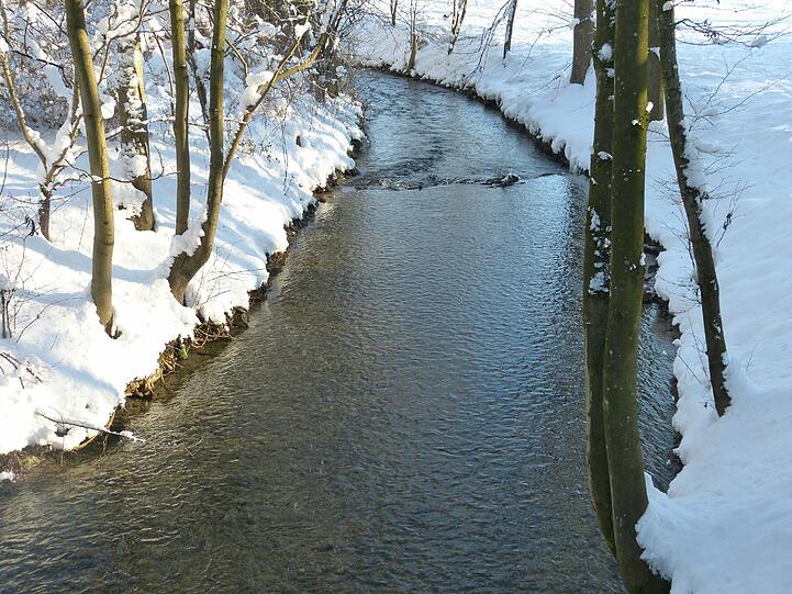 Der Englische Garten unter Schneemassen.