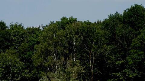 Das Wasserwirtschaftsamt warnt vor Gefahren am Stauwehr Oberföhring und am Fischpass, der als Liegefläche und sogar als Kneipp-Becken genutzt wird.