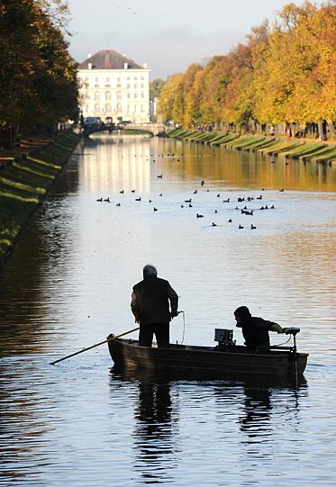 Die alten Karpfen aus dem Kanal vor Schloss Nymphenburg werden umgesiedelt.