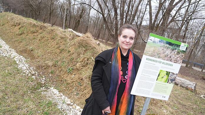 Munich green building official Jeanne-Marie Ebauer, here in front of the wild bee hill in Prinz Eugen Park, would like to see many new trees, including the somewhat concrete pedestrian area in the Old Town.