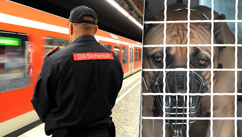 Der Mann gab sich unter anderem als Sicherheitsmitarbeiter der Deutschen Bahn aus. Unterwegs war er mit Hund "Joker". (Archivbild) Der Mann gab sich unter anderem als Sicherheitsmitarbeiter der Deutschen Bahn aus. Unterwegs war er mit Hund "Joker". (Archivbild)
