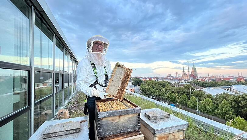 Imker Dr. J&uuml;rgen Brandl schaut regelm&auml;&szlig;ig nach dem Wohl der "Gl&uuml;ckbienen" auf dem Dach der Zentrale der Staatlichen Lotterie- und Spielbankverwaltung auf der Theresienh&ouml;he.