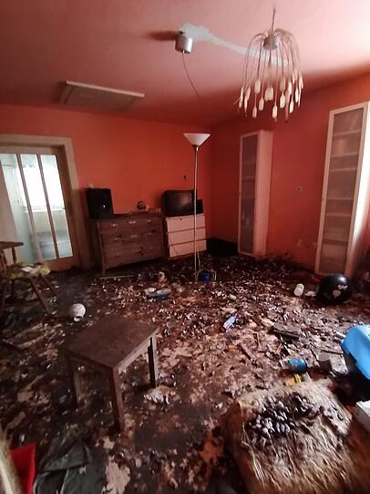 Überall im Haus lag Kot.