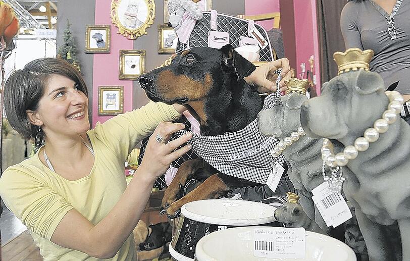 Pinscher "Neo" freut sich über ein neues Halstuch.