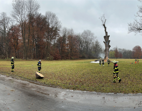 Der brennende Baum musste schließlich gefällt werden.
