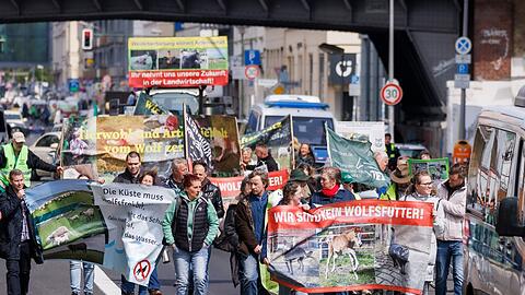 Deutsche Weidetierhalter protestieren gegen den Umgang mit Wölfen in der Viehwirtschaft in Deutschland.