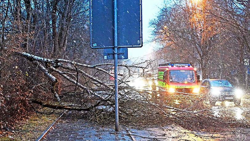 Auf der Rosenheimer Straße kurz vor der Auffahrt auf die A8 stürzten mehrere Bäume auf die Fahrbahn. Die Freiwillige Feuerwehr aus Perlach beseitigte die Hindernisse.