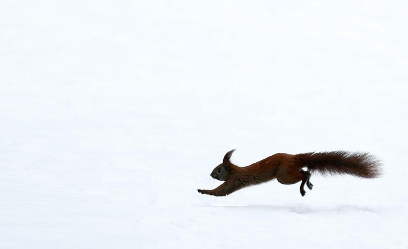 Wintereinbruch im März - die Bilder