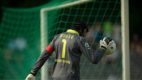 Da kann er sich nur noch mit Grauen abwenden: Hoffenheim-Keeper Tim Wiese bei der 0:4-Niederlage in Berlin.