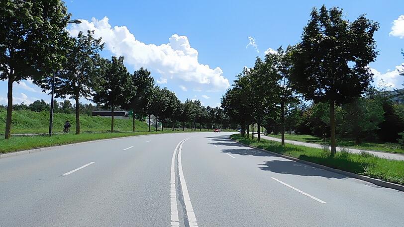Was für den Autofahrer eine hübsche Allee ist, ist für den gefräßigen Laubholzbockkäfer ein Buffett.