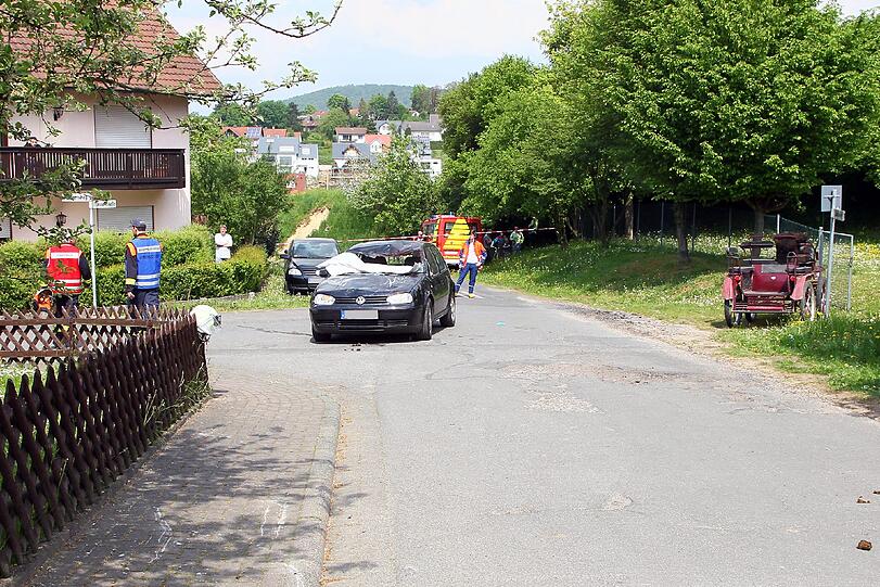 Spektakulärer Unfall mit einer Kutsche und Pferden: Eines der Tiere prallte in die Windschutzscheibe dieses Autos. Die Bilder