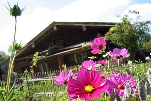 Sonntag: Im Freilichtmuseum Glentleiten in Großweil kommen Technik-Fans auf ihre Kosten. Zum Traktorentag knattern landwirtschaftliche Oldtimerfahrzeuge heran. Außerdem gibt es ein buntes Rahmenprogramm. Beginn ist um 9 Uhr. www.glentleiten.de