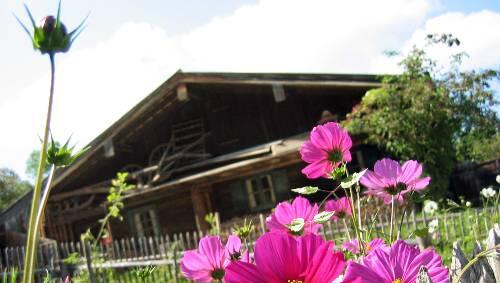 Sonntag: Im Freilichtmuseum Glentleiten in Großweil kommen Technik-Fans auf ihre Kosten. Zum Traktorentag knattern landwirtschaftliche Oldtimerfahrzeuge heran. Außerdem gibt es ein buntes Rahmenprogramm. Beginn ist um 9 Uhr. www.glentleiten.de Sonntag: Im Freilichtmuseum Glentleiten in Großweil kommen Technik-Fans auf ihre Kosten. Zum Traktorentag knattern landwirtschaftliche Oldtimerfahrzeuge heran. Außerdem gibt es ein buntes Rahmenprogramm. Beginn ist um 9 Uhr. www.glentleiten.de