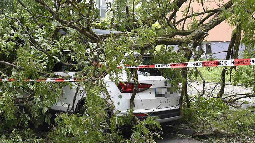 Ein umgestürzter Baum in der Schleißheimer Straße demolierte ein Auto.