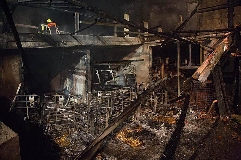 Die Bilder vom Stallbrand in Taching am See.