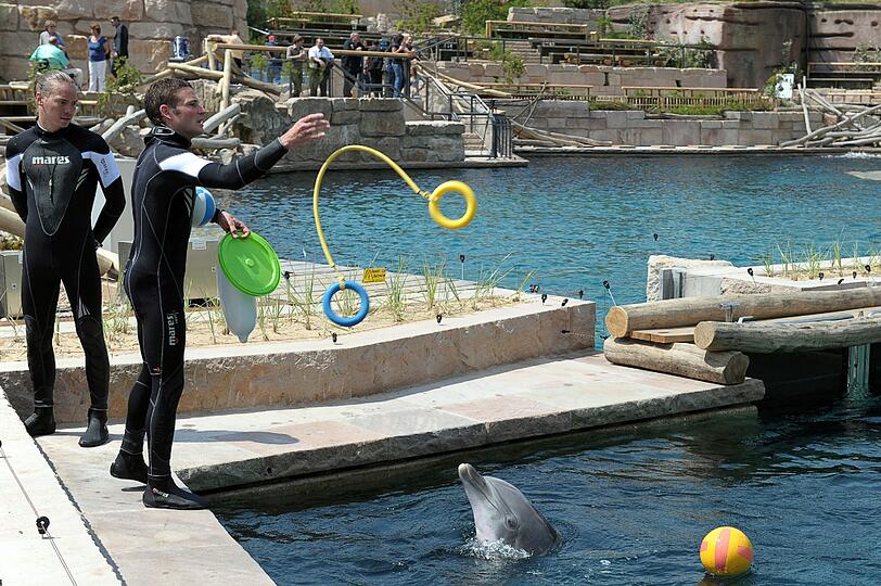 Das neue Delfinarium im Tiergarten Nürnberg. Weibchen Anke hat ein Baby tot geboren.