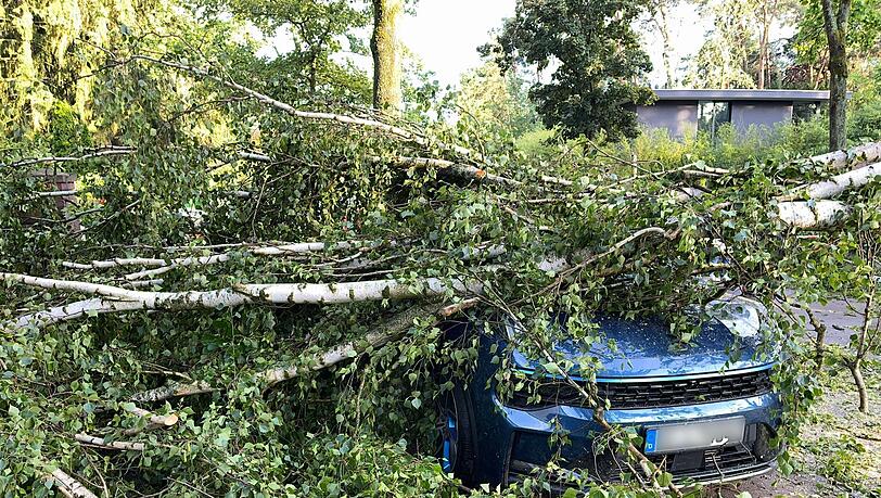 B&auml;ume, die auf Autos st&uuml;rzen, und andere Naturgefahren durch Unwetter richteten vergangenes Jahr deutlich weniger Sch&auml;den an. (Archivbild)