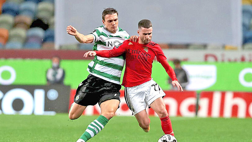 Ausgeprägte Rivalität: Palhinha (l.) im grün-weißen Trikot von Sporting, in einem Derby 2021 gegen Benficas Rafa Silva. Ausgeprägte Rivalität: Palhinha (l.) im grün-weißen Trikot von Sporting, in einem Derby 2021 gegen Benficas Rafa Silva.