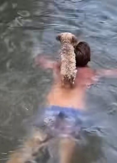 Der Eisbach Gustl ist einfach nur toll. Wir schwimmen mit ihm auf dem Rücken den Eisbach herunter, er spielt Fußball besser als manch Profi (Passpiel, Dribbling, Ballannahme in der Luft) und ist lieb zu jedem.