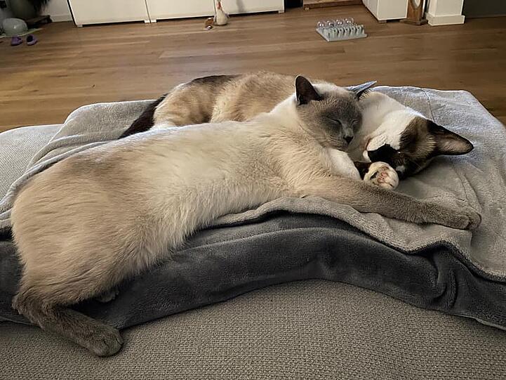 Balu und Nelly