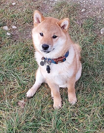 Jiro