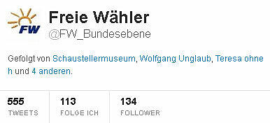 Der Account "FW_Bundesebene": Laut Freie Wähler ein Fake-Account.