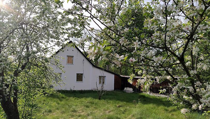 Obwohl die Häuser der Eggarten-Siedlung leer stehen, wollen Anwohner die Siedlung aufgrund des Biotops erhalten.