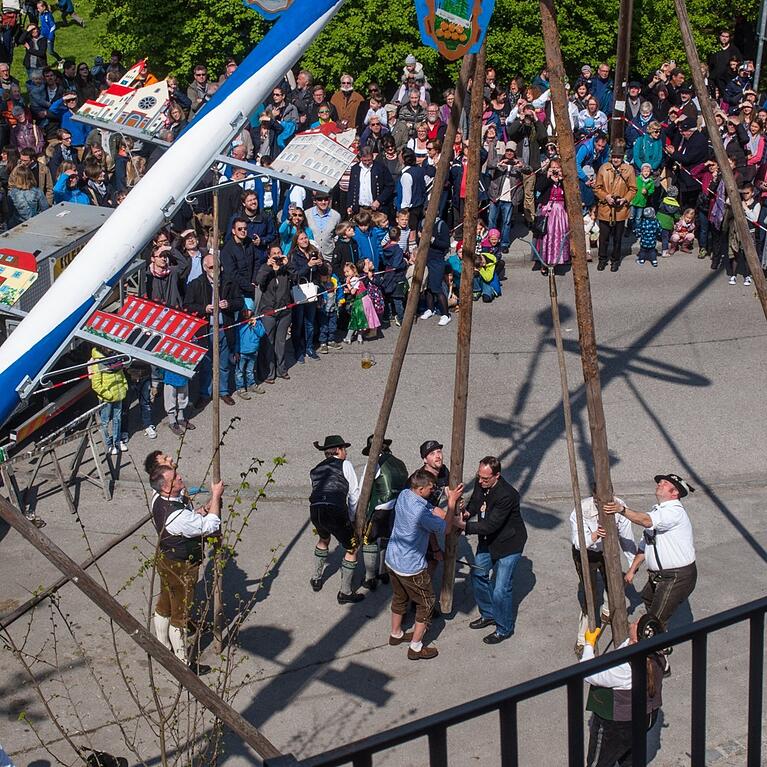 Mit Schwaiberln, also Doppelstangen, händisch den Maibaum aufstellen, ist eine Kunst. Hier tun das die starken Männer vom Pasinger Kultur- und Heimatverein D' Pasinger. Das Kommando hat der Maibaum-Meister.