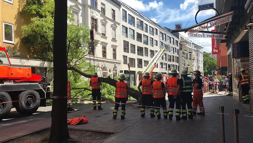 Ein Feuerwehrkran sichert die Robinie, die über die Feilitzschstraße gestürzt ist. Die Baumkrone drückt gegen die Hauswand gegenüber.