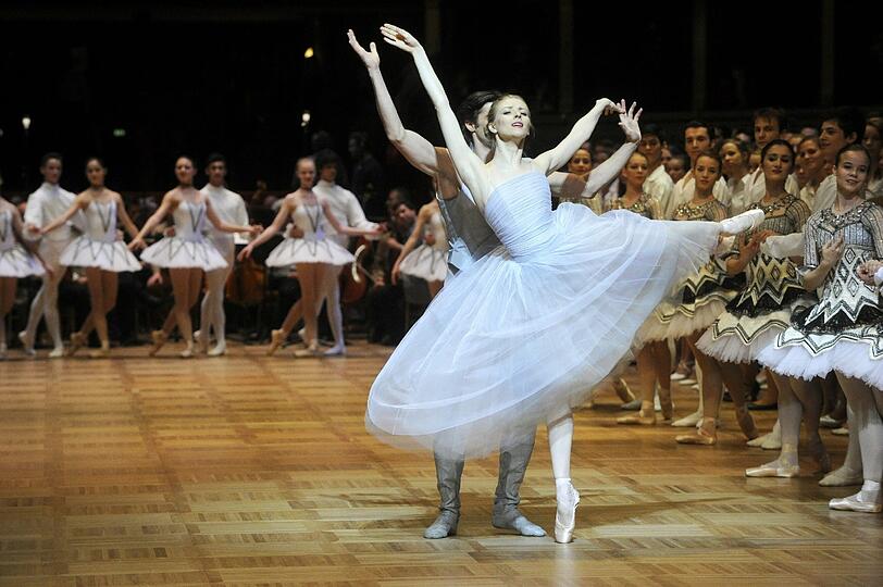 Opernball 2013 in Wien: Die besten Bilder