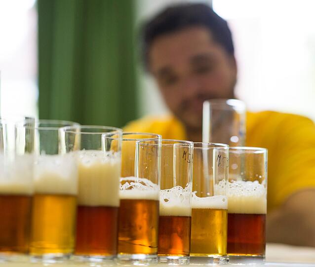 Insgesamt 102 Bier-Experten verkosten in Gräfelfing 1366 Biere aus 45 Laendern in 50 verschiedenen Kategorien. Am European Beer Star duerfen Braueren aus der ganzen Welt teilnehmen die nach der traditionellen, europaeischen Brauart Bier herstellen. Der Gewinner wird am 14.11.12 auf der Brau Beviale in Nuernberg bekannt gegeben.