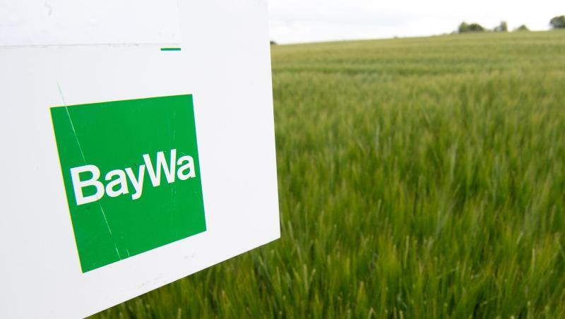Das Logo des Mischkonzern Baywa auf einem Schild.