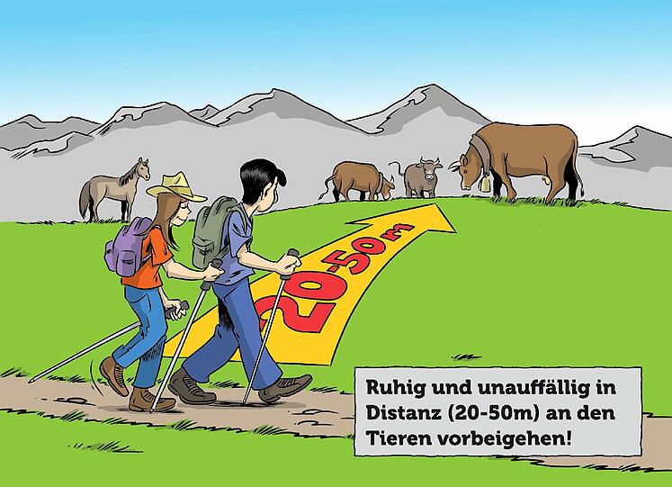 Zum Durchklicken: die Tipps aus dem Folder "Eine Alm ist kein Streichelzoo" der Tiroler Landwirtschaftskammer.