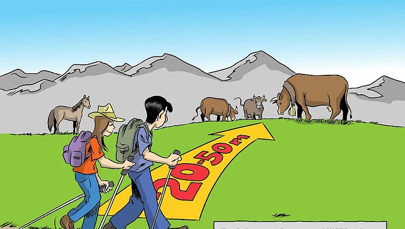 Zum Durchklicken: die Tipps aus dem Folder "Eine Alm ist kein Streichelzoo" der Tiroler Landwirtschaftskammer. Zum Durchklicken: die Tipps aus dem Folder "Eine Alm ist kein Streichelzoo" der Tiroler Landwirtschaftskammer.
