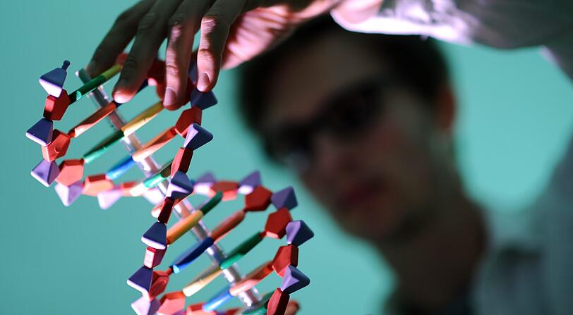 Ein Mann betrachtet ein DNA-Modell. (Symbolbild)