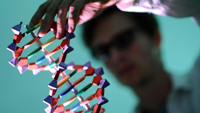 Ein Mann betrachtet ein DNA-Modell. (Symbolbild) Ein Mann betrachtet ein DNA-Modell. (Symbolbild)