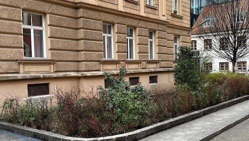 Die Bäume wurden im Dezember gefällt.