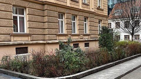 Die Bäume wurden im Dezember gefällt.