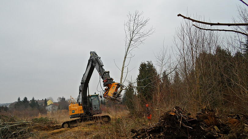 Ein Bagger mit Säge-Aufsatz schneidet die Bäume und Büsche ab - dann wird nach den Igeln gesucht.