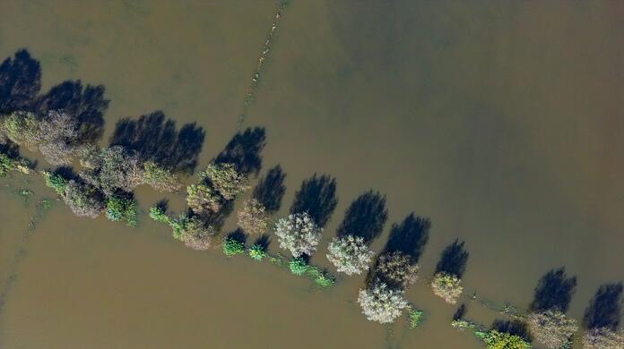 Vom Hochwasser des Flusses Oder sind im September 2024 Wiesen vor der Stadt Frankfurt (Oder) überflutet. (Archivbild) Vom Hochwasser des Flusses Oder sind im September 2024 Wiesen vor der Stadt Frankfurt (Oder) überflutet. (Archivbild)