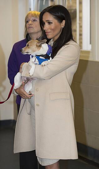 Hochschwanger und echt chic: Eleganter (knapper) Auftritt von Herzogin Meghan