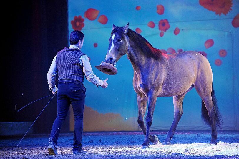 Die Show "Apassionata" verknüpft internationale Reitkunst mit Ballett und Musik.