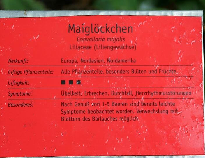 Auflösung siehe Tafel