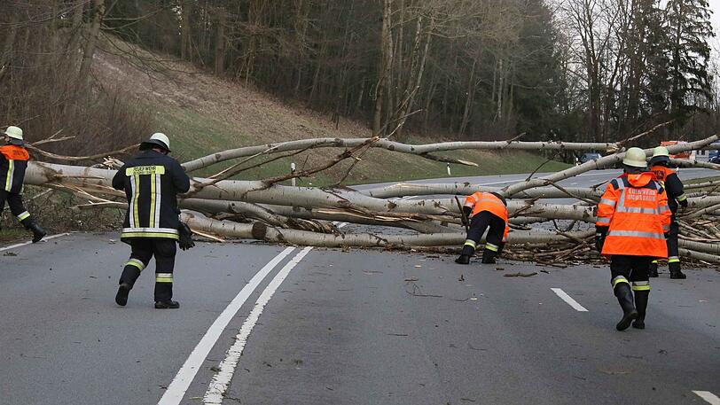 Auf der B12  am Bürger Berg lagen zwei Buchen quer zur Fahrbahn und machten ein Durchkommen für den Straßenverkehr unmöglich.