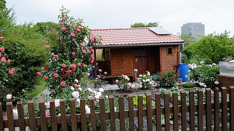 Lange Zeit war Schrebergarten ein Synonym für Spießbürgertum. In den vergangenen zehn Jahren hat ein Generationenwechsel stattgefunden.