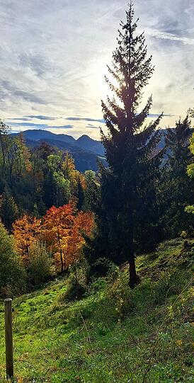 ... herrliche Impressionen vom Schliersee.